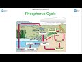 Biogeochemical Cycles and Human Impact