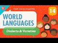 Language Diversity and Linguistic Concepts