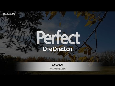 One Direction-Perfect (Melody) [ZZang KARAOKE]