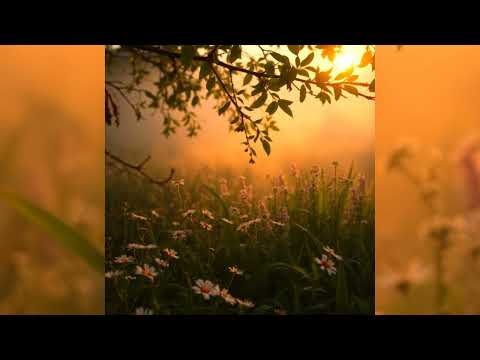 Unusual Cosmic Process, The Still Vale - Awakening Chimes [Full Album]