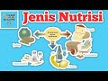 Kuis Nutrisi dan Gizi
