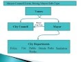 Texas Government Structure and Roles