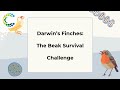 Galapagos Finches and Natural Selection