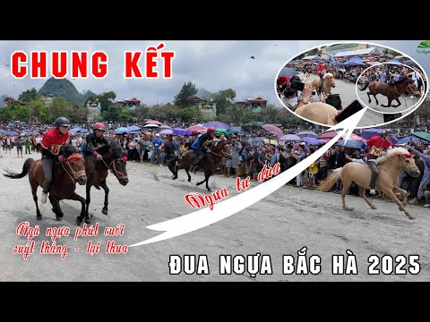 "Vỡ Trận" Chung Kết Lễ Hội Đua Ngựa Bắc Hà 2025 Chưa Bao Giờ Đông Đến Thế - Ai Là Người Chiến Thắng
