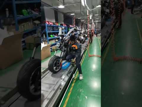 Rooder citycoco chopper electric motorcycle scooter factory, WhatsApp +8613632905138