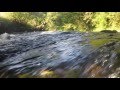 River Ecosystem Characteristics and Adaptations