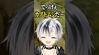 かぶとむし！ #shorts【鈴木勝/にじさんじ】