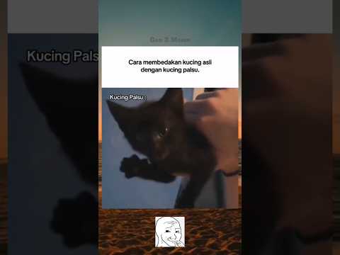 #memes#funny#cat#shorts#4u