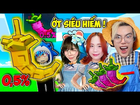PHONG CẬN VÀ SAMMY SỞ HỮU CÂY DRAGON PEPPER SIÊU HIẾM CÙNG MÈO SIMMY TRONG ROBLOX GROW A GARDEN