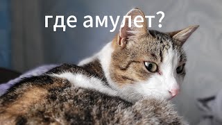 ищу амулет сиреноголового. нашел подвал в доме,о котором не знал
