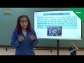Greek Philosophy and Rational Thought
