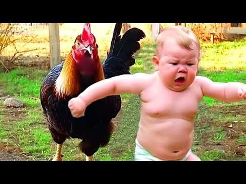 افضل مقاطع الفيديوهات المضحكه اللي تخليك تضحك طول اليوم 😂😂