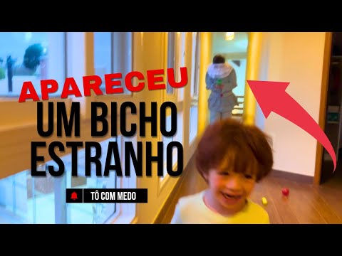APARECEU UM BICHO NA NOSSA CASA!!!