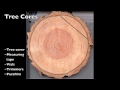 Tree Core Sampling Techniques