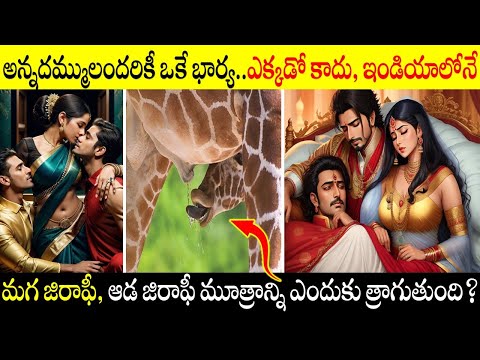 Top 5 Interesting Facts in Telugu Fact | VR Raja Unknown Facts in Telugu Facts