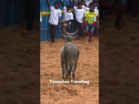 ட்ரோன் வேணுமா? வேணாமா? கொலைமாஸ்... Tamizhan Trending #shorts