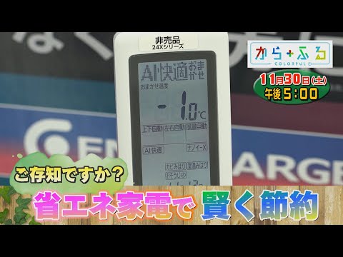 【番宣】１１月３０日（土）からふる