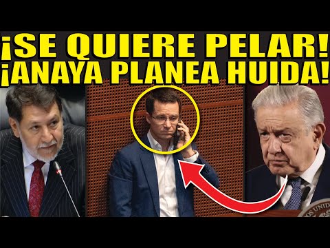 ⚠️MUY URGENTE!!🚨LUEGO DE SER APROVADA REFORMA JUDICIAL VEN A ANAYA PLANEANDO HUIDA!