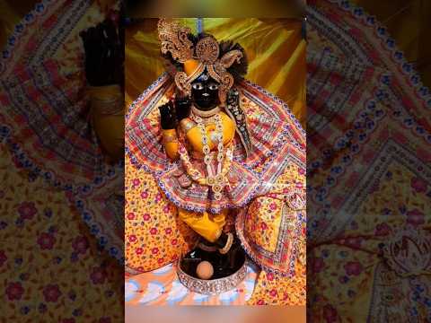 बोलो वृंदावन श्री बांकेबिहारी लाल की जय 🙏❤️🙏❤️#bankebihari ban#virdavan #shortviral #shortsfeed
