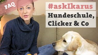 Was halte ich von Hundeschulen und Clickertraining