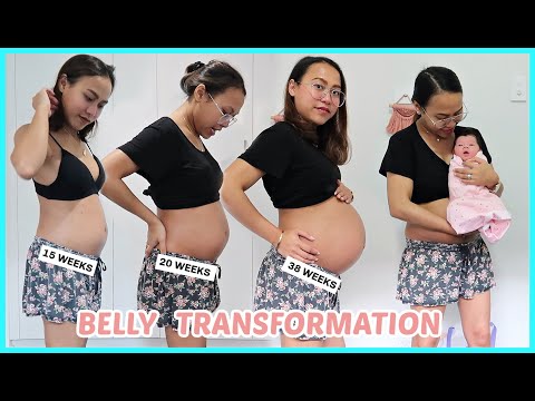 MY PREGNANCY TRANSFORMATION! WEEK BY WEEK! ??❤️ | rhazevlogs