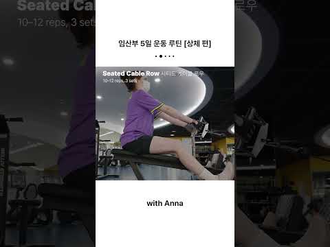 임산부 <strong>운동</strong> <strong>루틴</strong> DAY 3 [상체 편]