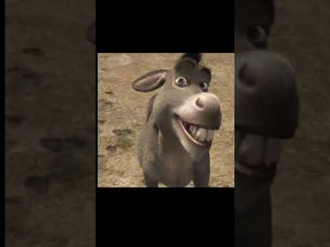 Tutorial Como enganar um burro