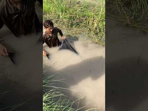 #fish #fishing #viralvideo #fish 🐠🐟🎣