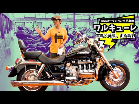 バイク通が唸る！会員制オークション会場で見つけたワルキューレ！（9月3日出品車両）#honda #バイク #旧車