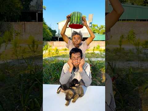 Hai anh em trêu chọc nhau siêu dễ thương 🍉🐶🐶🐶🐶🐶🐶🐶🐶👴 #shorts #cute