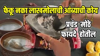 फेकू नका लाखमोलाची आंब्याची कोय , प्रचंड मोठे फायदे होतील ! Heart attack vajan kami karane upay❤️