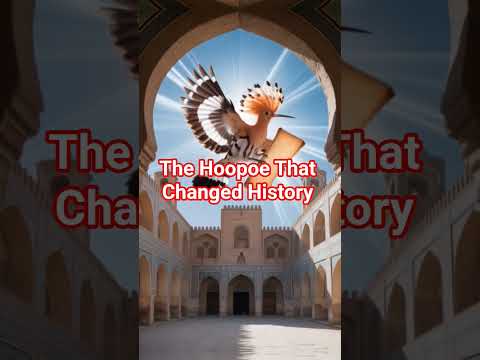 The Hoopoe of Solomon.... The Bird That Changed History #shorts #islamichistory #islamicshorts