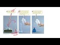Preparing and Diluting Solutions