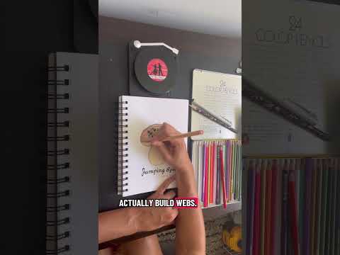 Jumping spiders! #spider #cute #art #drawing #critters