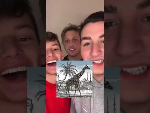 👆CLICCA NUOVO VIDEO‼️👆 Trova la giraffa nascosta - Indovinello con Cap e Kazu