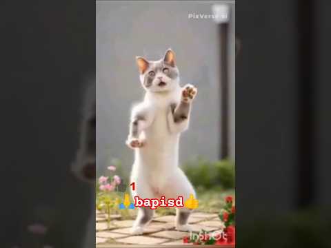 teacup dog breeds / teacup puppies 🐕 mini wood toy art / hand craft #shorts #dog #toys #cute #puppy🙏