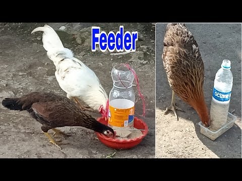Homemade feeder | how to make feeder