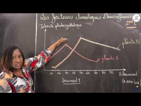 Exercices - Seconde L - SVT : les facteurs climatiques et les influences / Mme Cissé