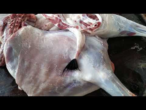 Ultimate Goat Meat Cutting Skill   Full Clean Process! || Professional Meat Cutting Technique