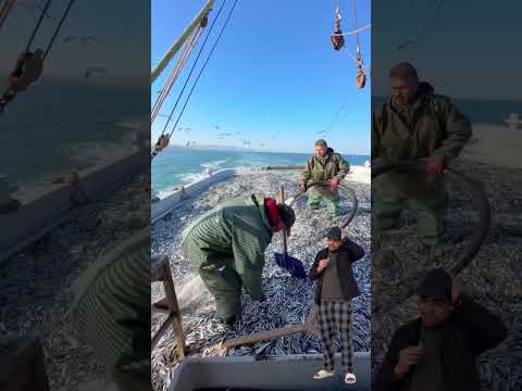‏شوفو عبد مول لحوت 🐟منين كيجيب لكم الحوت تبارك الله#اكسبلور #funny #facts #viralshorts #foryou