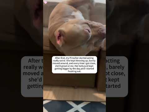 #amazing