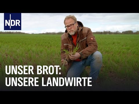 Naturschutz oder maximaler Ertrag? So bauen Landwirte Getreide an | Unser Brot | NDR Doku