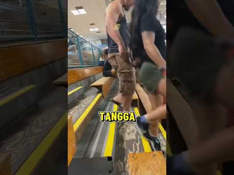 Mengapa Semua Orang Jatuh Di Anak Tangga Yang Sama?!