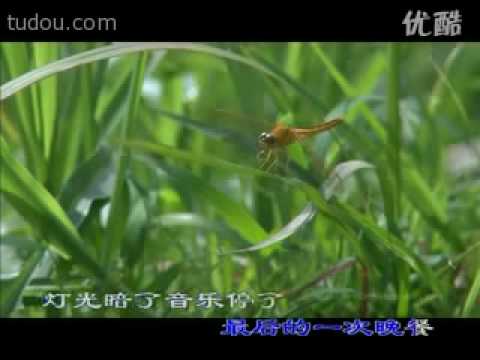 放不下你的人是我_h264-320x240.mp4