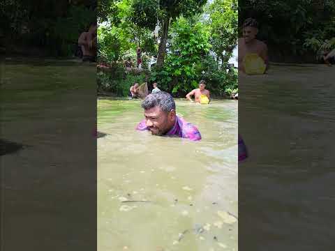 Asian Country Fishing #shorts | Amazing Rural Fishing Video ๐ Best Asian Fishing Technique #shorts