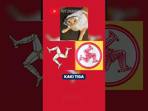 inilah 3 bendera paling teraneh di dunia🌎😱 #faktaunik #funfacts #funny #putchannel #ytshorts
