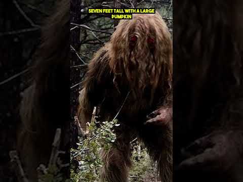 Quickfire Cryptids - Momo The Missouri Monster
