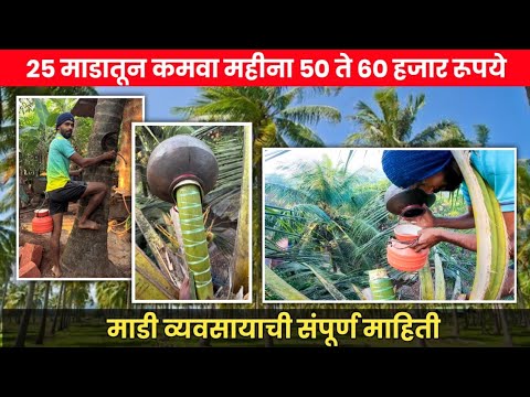 माडी (निरा) व्यवसाय संपूर्ण माहिती | Village business ideas #konkan