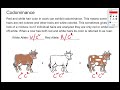 Genetics: Alleles and Inheritance Patterns