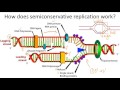 DNA Replication Processes and Concepts